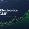 GNG Electronics IPO
